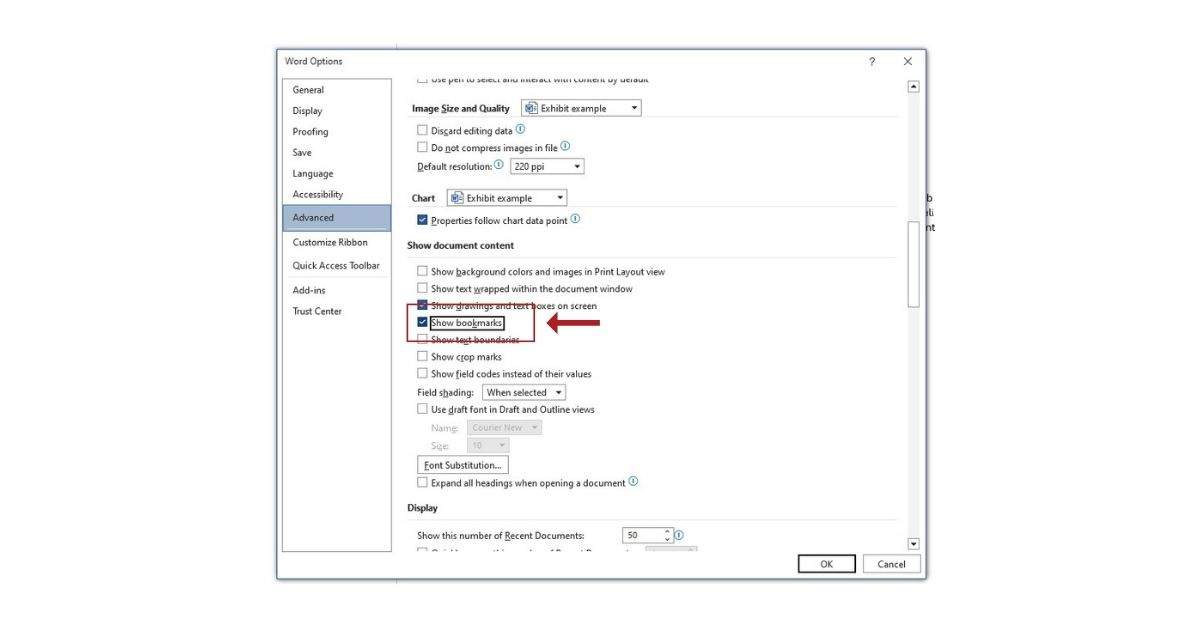 Microsoft Word Advanced Show Bookmarks