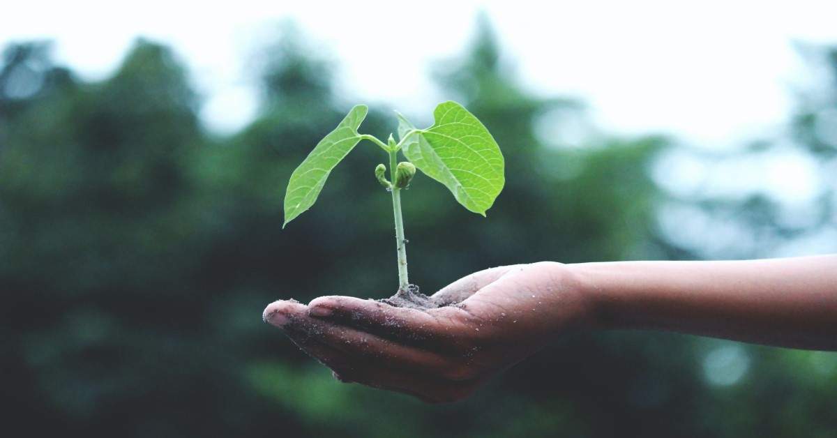 9 Tools For Building Sustainable Law Firm 2022