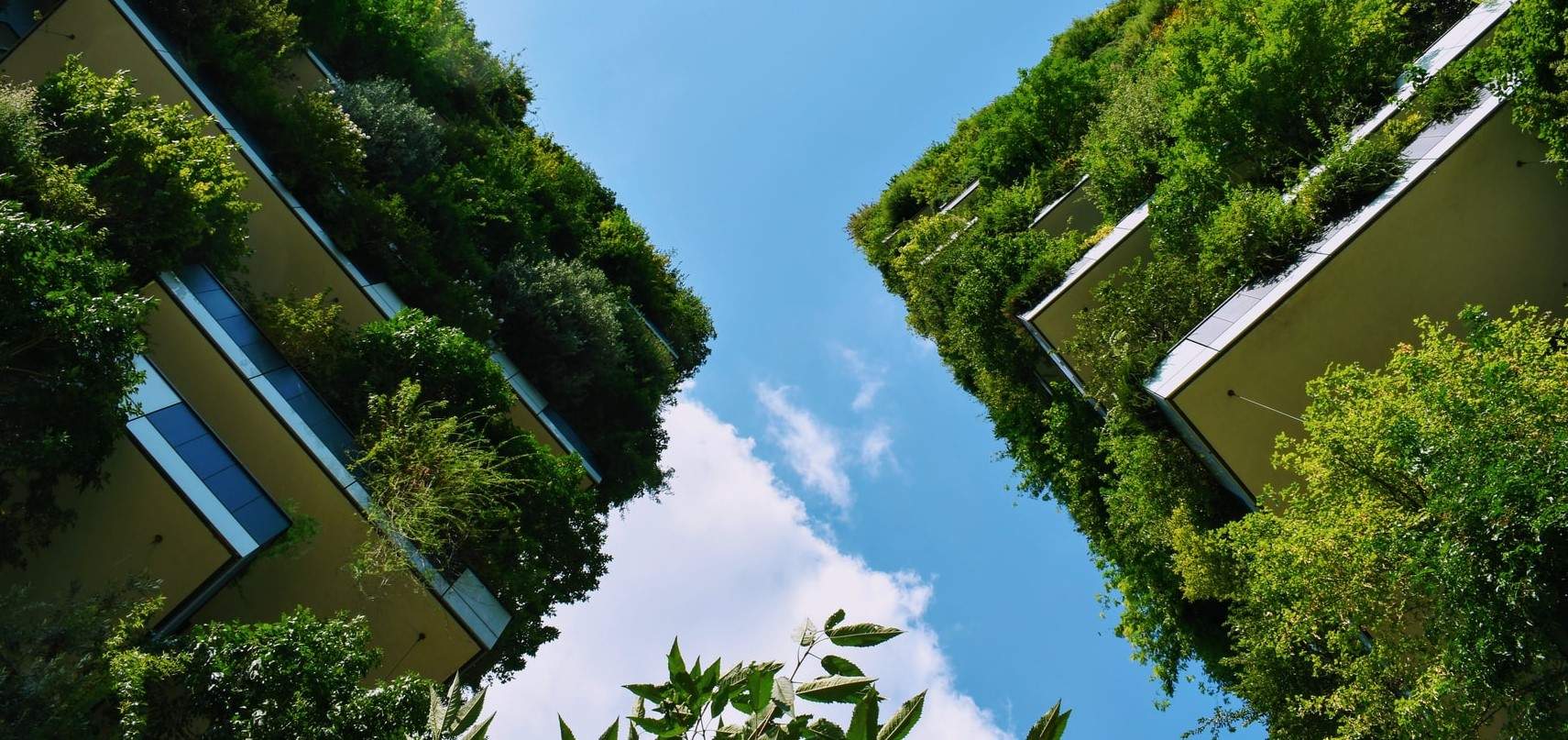 tips to increase law firm sustainability