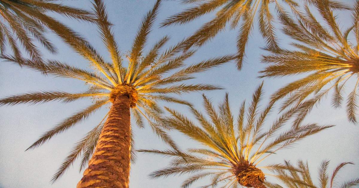 Can California Lawyers Practice In Other States